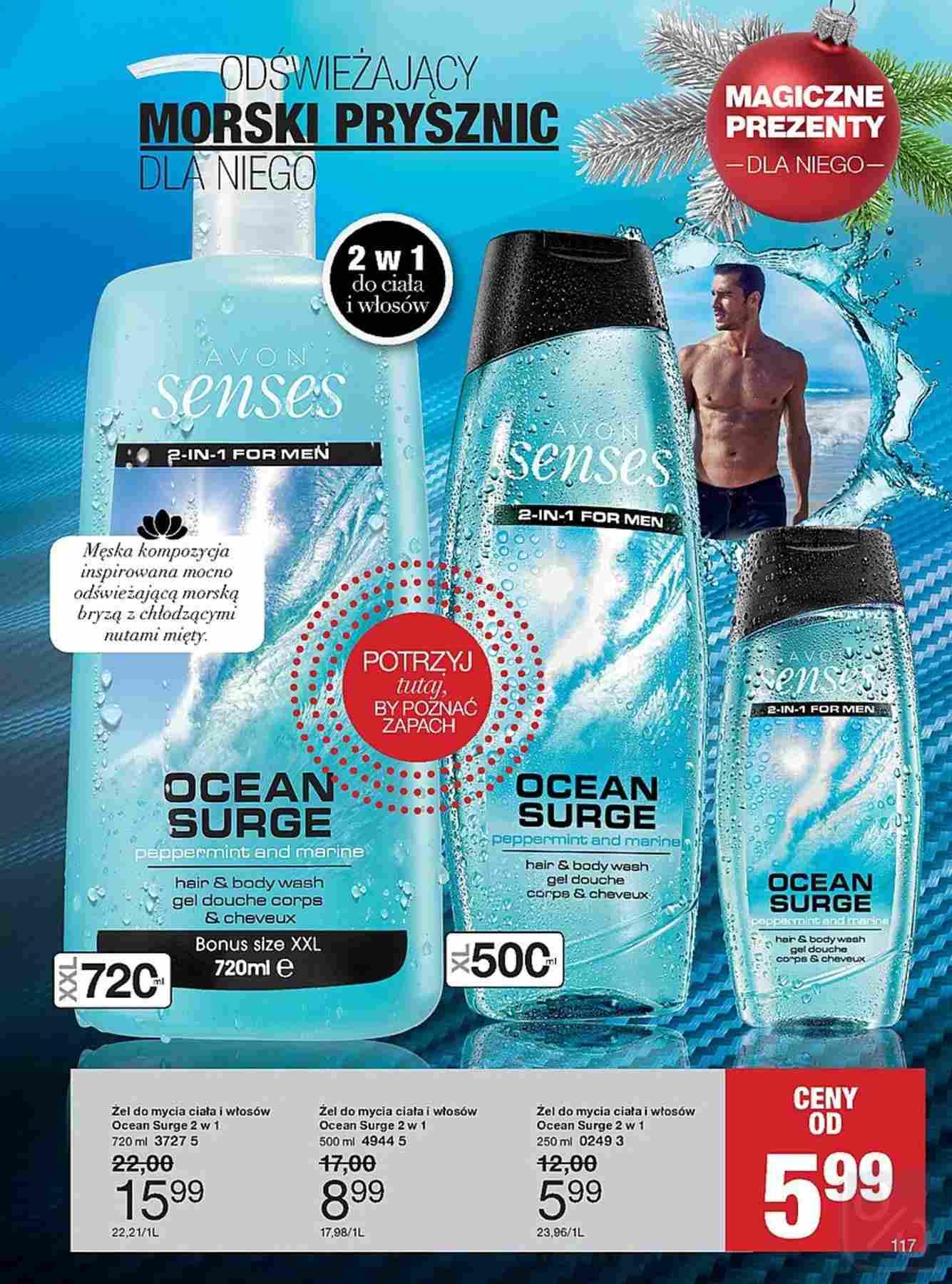 Gazetka promocyjna Avon str. 117